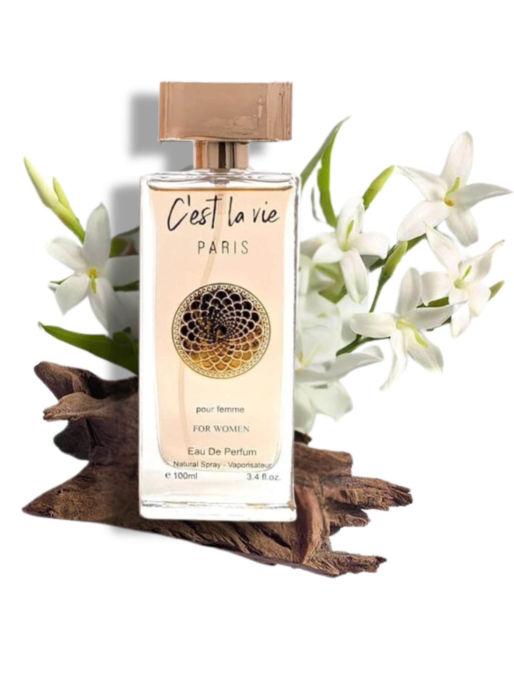 Amazon.com: C'est La Vie PARIS POUR FEMME EAU DE PARFUM 3.4 FL
