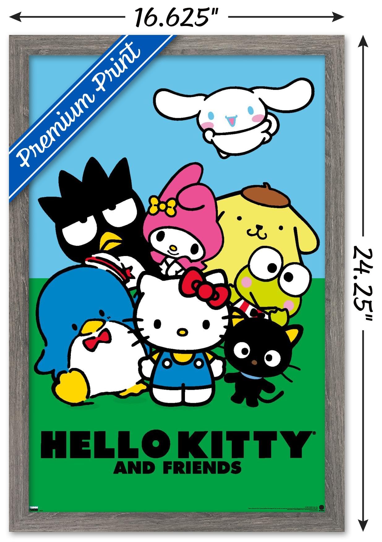 Amazon.com: Hello Kitty and Friends: 21 Core - Standing Wall