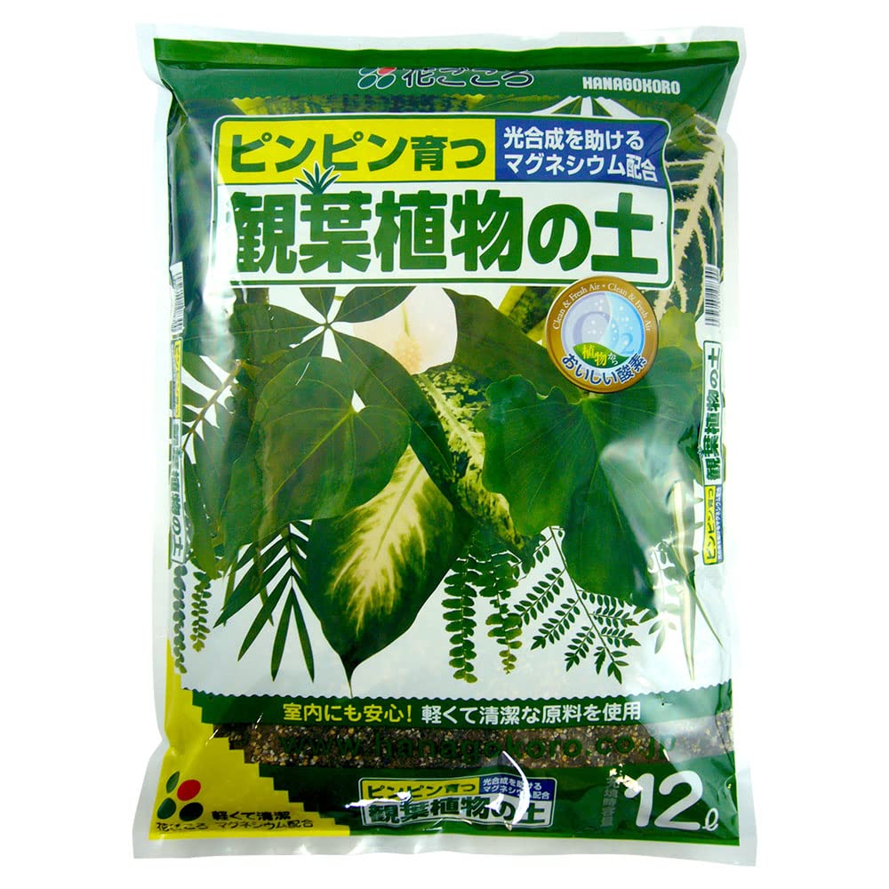 花ごころ 観葉植物の土 マグネシウムで葉の色鮮やか 12L