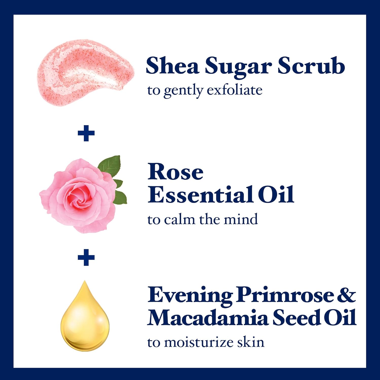 Dr Teal's Shea Sugar Body Scrub, Rose with Essential Oil, 19 oz (Pack of 3) : Beauty & Personal Care