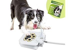 Paw Activated Water Toy and Fountain for Dogs