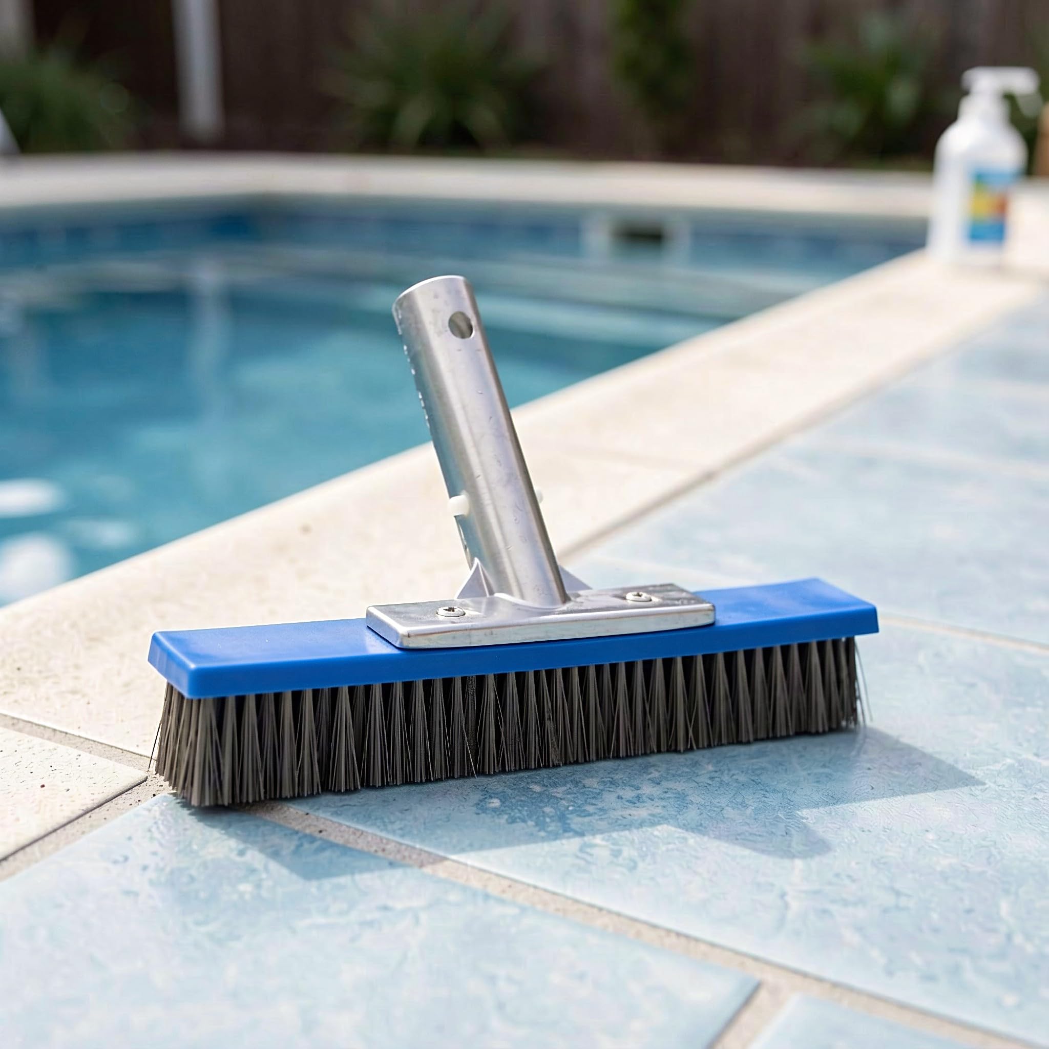 Gatuida Cabezal de Cepillo para Paredes de Piscina, Cepillo de Limpieza