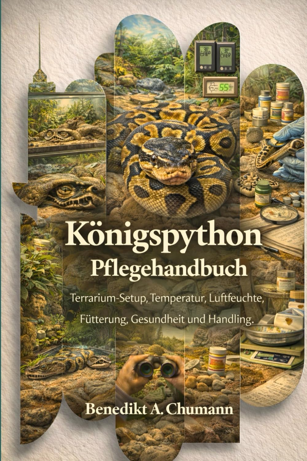 Königspython Pflegehandbuch: Terrarium-Setup, Temperatur, Luftfeuchte, Fütterung, Gesundheit und Handling