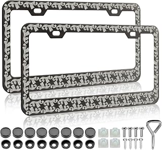 LIN KANG 2PCS Antique Old Pattern Printing License Plate Frames,Funny License Plate Holder Stainless Steel Auto Parts Rust-Proof Waterproof Car Decorative Tag Frames for Standard US 12x6 Inch