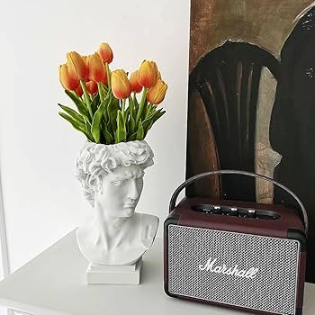 7161t5hmV1L._AC_UF350,