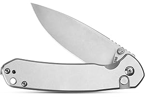 CJRB Pyrite Folding Knife: A Silver Warrior for Everyday Carry
