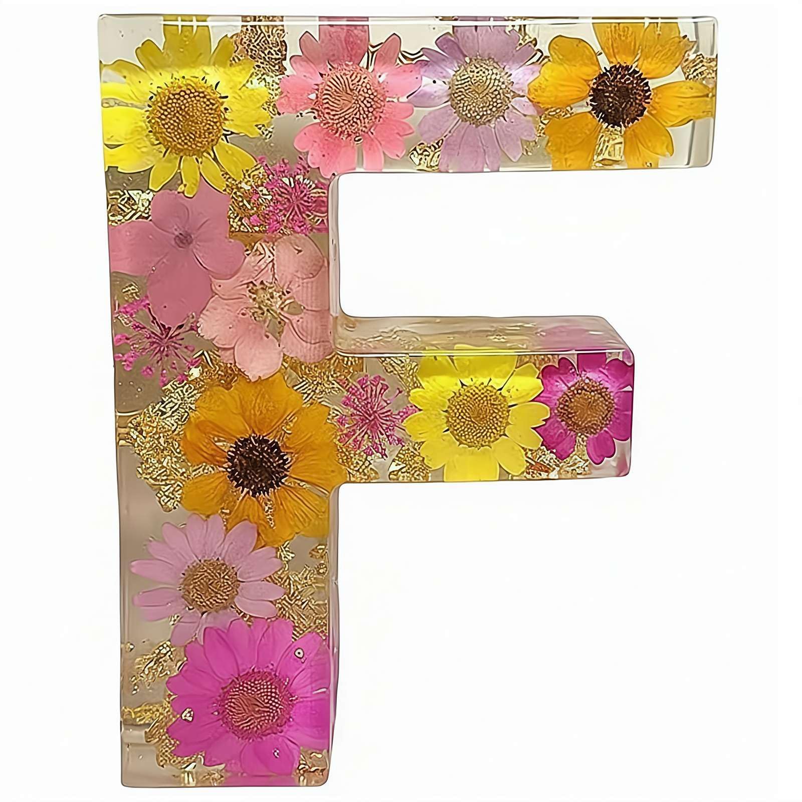 Resin Ornament Kit, Resin Letters with Flowers, Dried Floral Resi N Night Light Letter with LED Lights, Endless Custom Decor Possibilities (F)