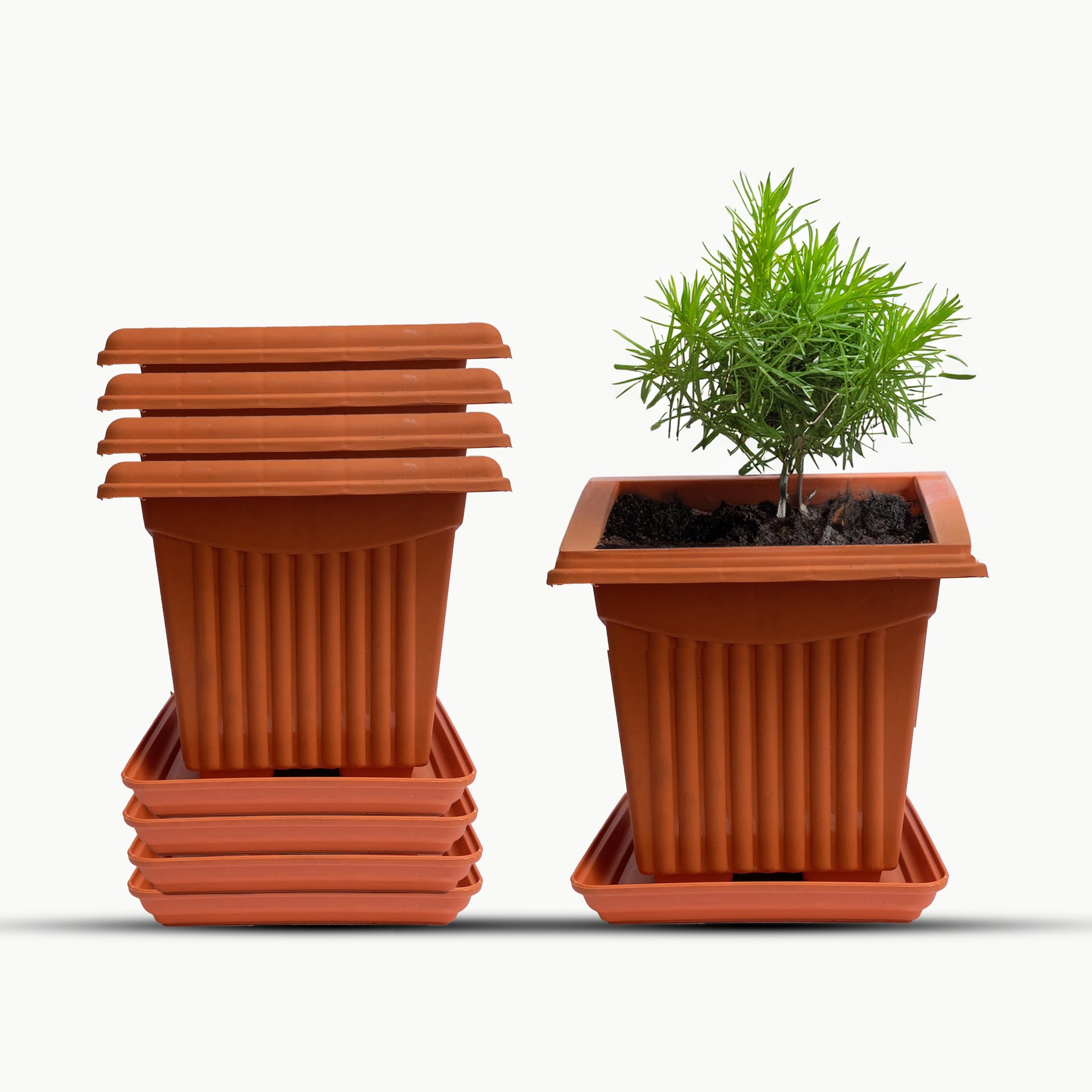 See full amazon price history chart for Durable Square Plastic Flower Pots 6-inch with Drip Tray for Home Planters, Terrace, Garden Etc | Suitable for Home Indoor & Outdoor Gardening Plants. (Set of 6) Durable Square Plastic Flower Pots 6-inch with Drip Tray for Home Planters, Terrace, Garden Etc | Suitable for Home Indoor & Outdoor Gardening Plants. (Set of 6) (B0D2BBKHMY) Amazon Price History, Amazon Price Tracker