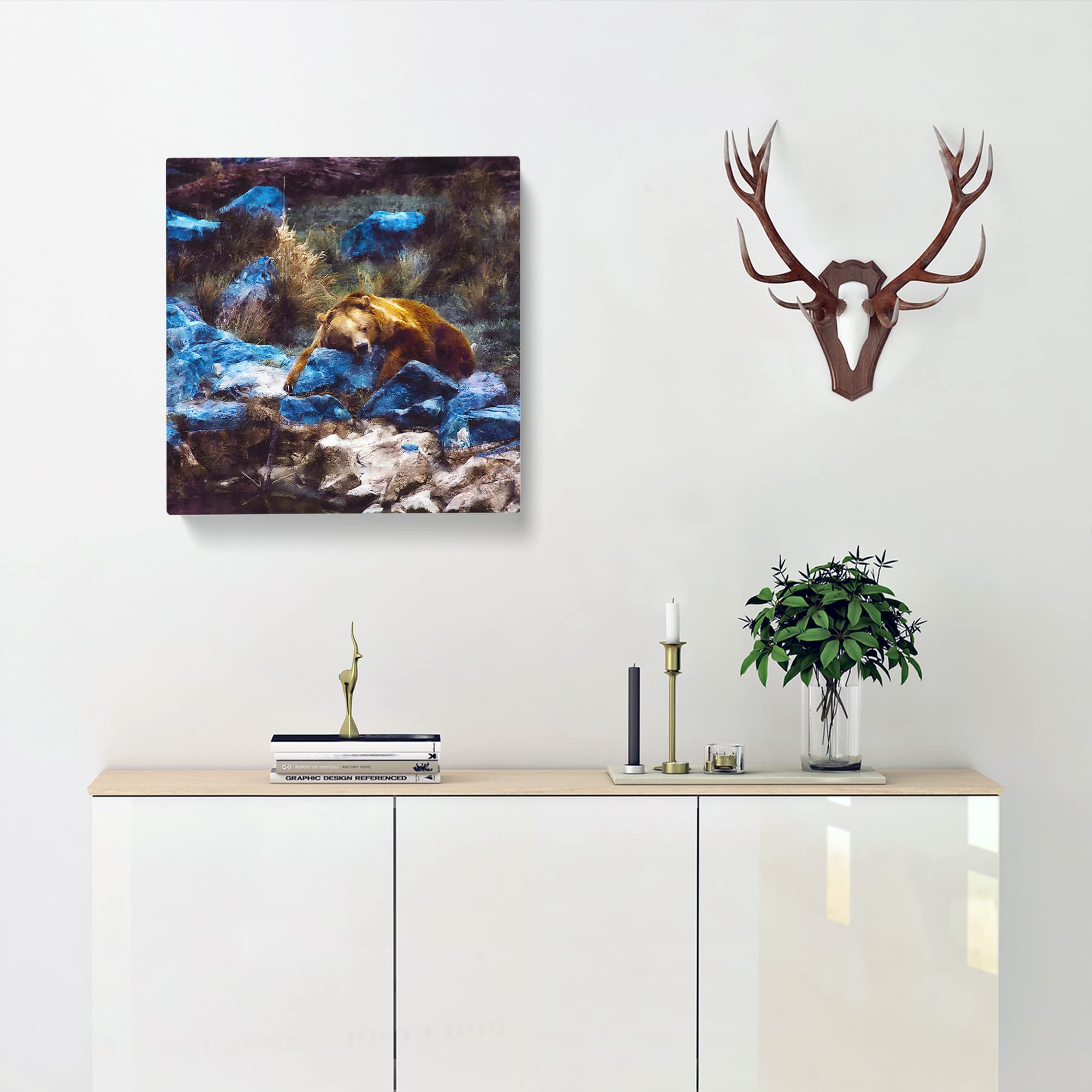 Resting Grizzly Bear Canvas Print, Mixed, 35L x 35W cm - Image 2