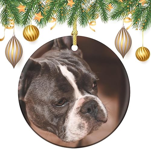 Miniatura 3 de Adornos de Navidad 2023 para árbol, adorno de cerámica de perro toro francés, regalo para amantes de los animales, decoraciones de bolas de Navidad,