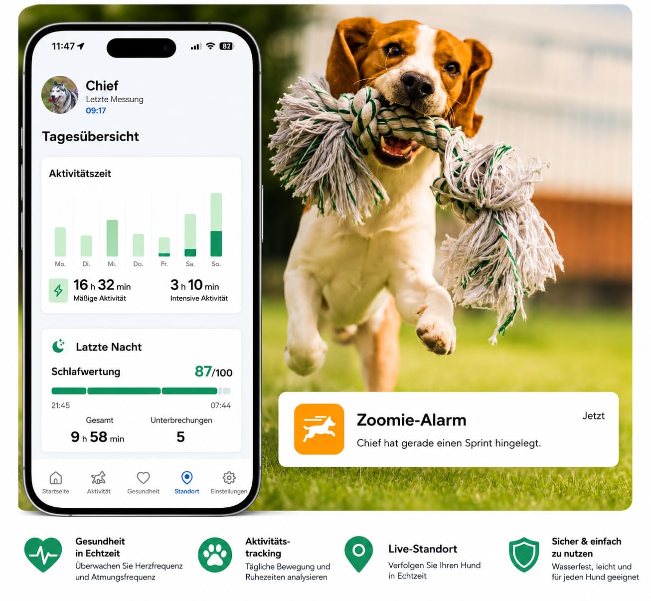 Invoxia Biotracker Edition 2026 | 4G in Echtzeit Herz- Atemüberwachung - Alarm bei Weglaufen - Integrierte KI