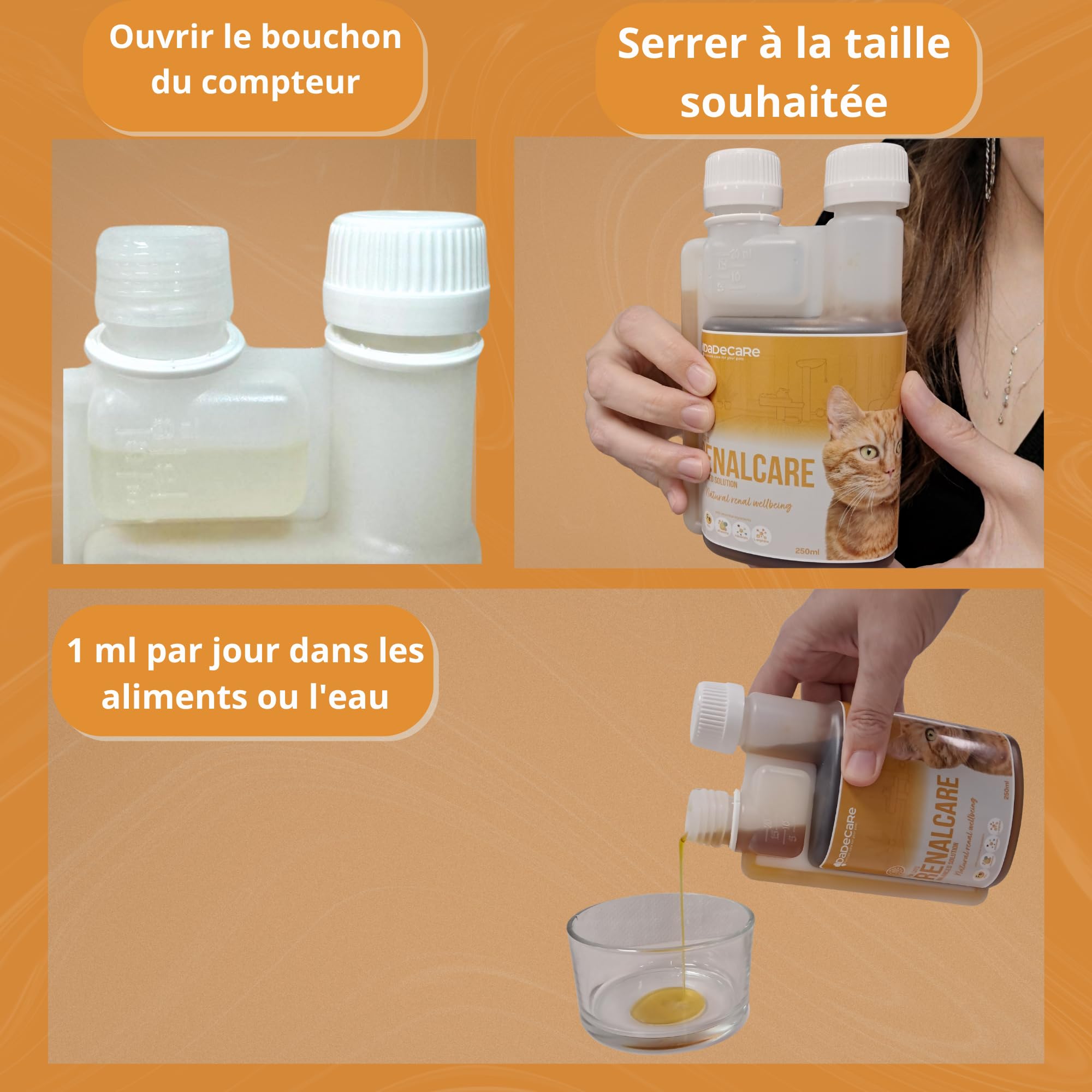 Renalcare - Complément rénal Liquide 250 ML Chats - Redonne énergie et appétit aux Chats souffrant de problèmes rénaux - Prévient l'anémie et favorise la santé rénale - sans phosphore ni Sodium-Bacon