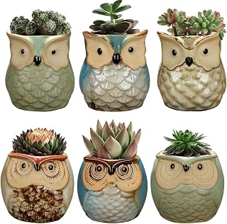 6 Pack Owl Pot, Ceramic Flowing Glaze Base Serial Set Succulent Plant Pot Cactus Plant Pot Flower Pot Container Planter Bonsai Pots with A Drainage Hole Perfect Gife Idea