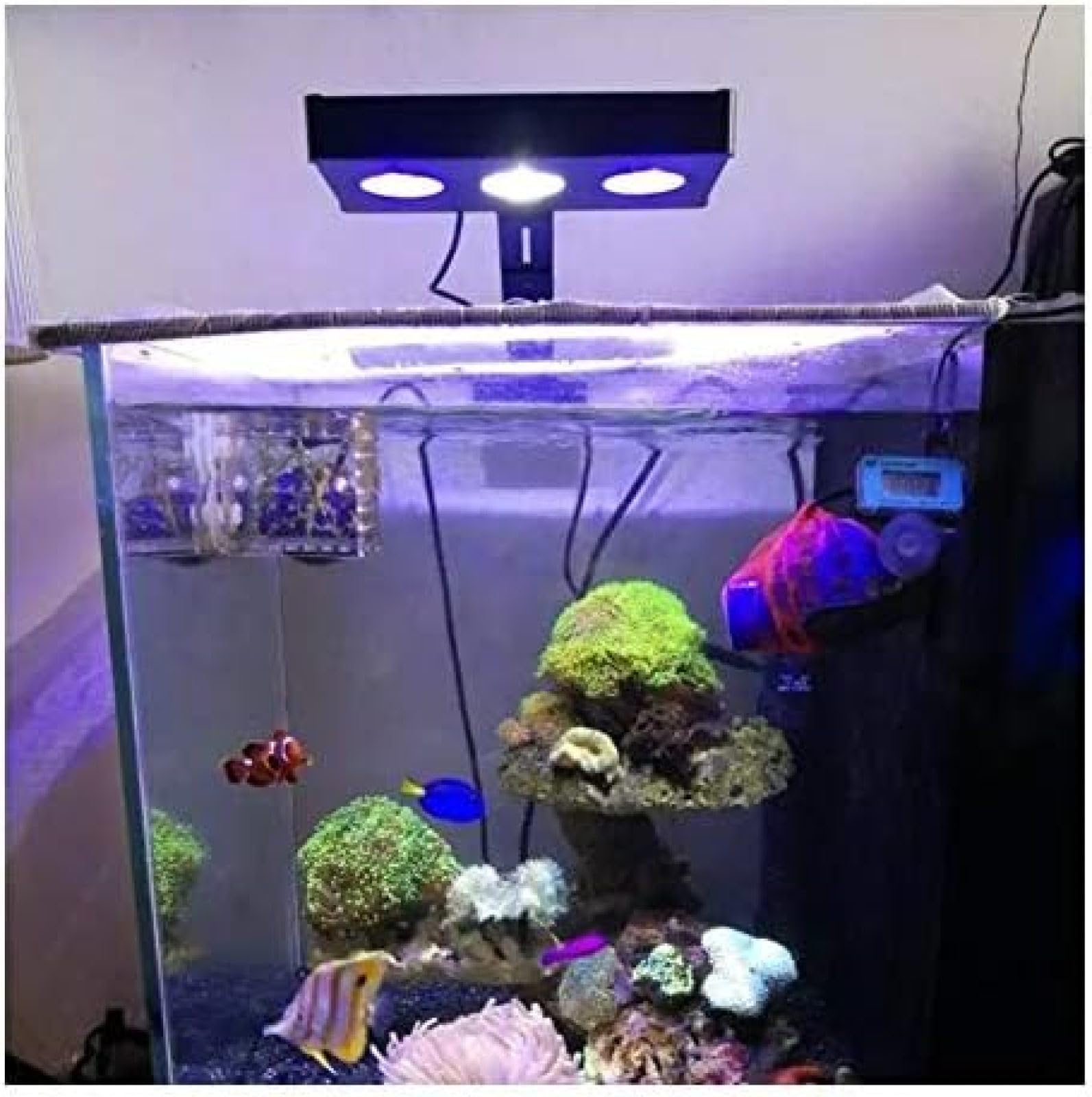 Zatapialna lampka do akwarium Oświetlenie LED do akwarium 30W Kryte oświetlenie LED do akwarium Oświetlenie morskie ze sterowaniem dotykowym dla koralowców