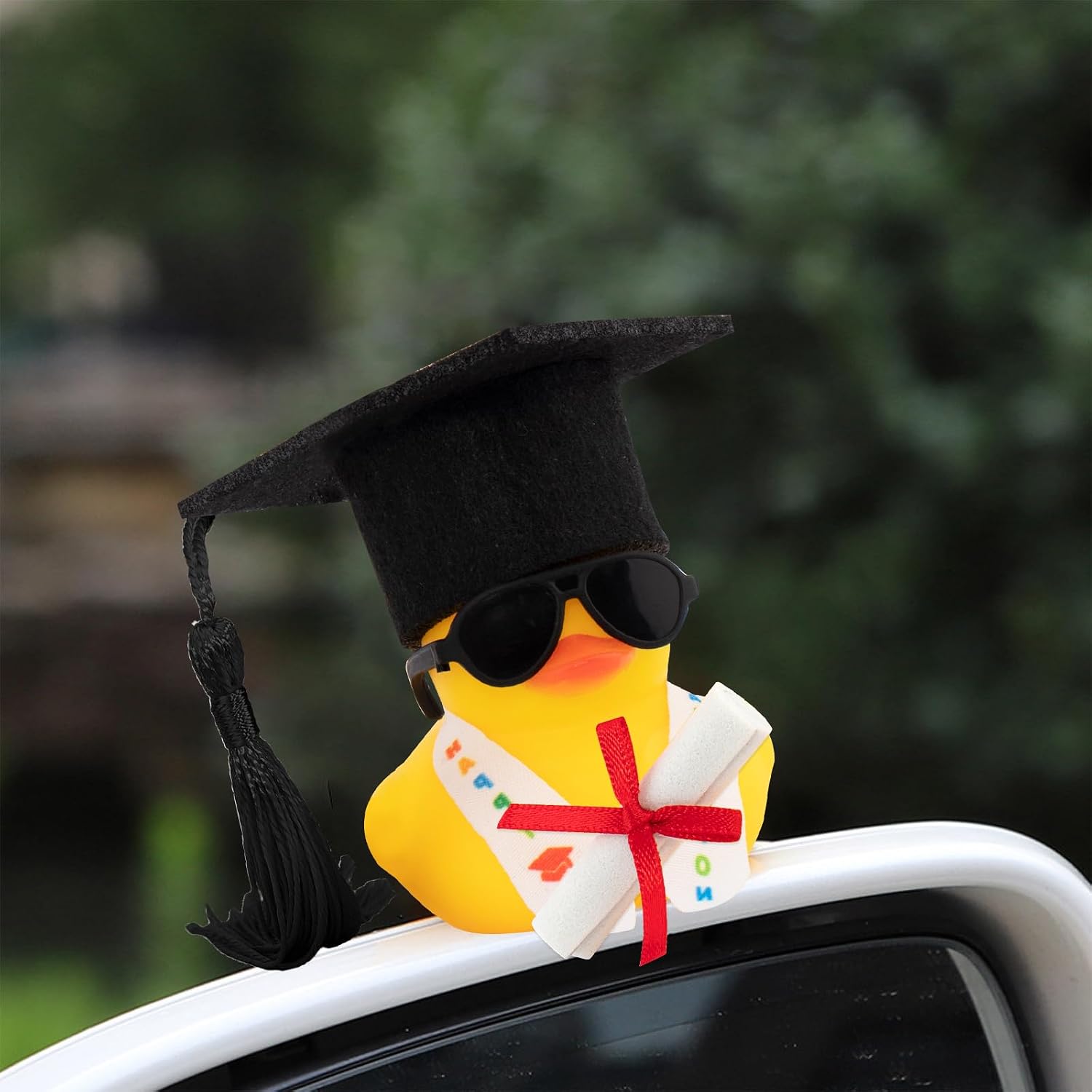 wonuu Rubber Duck Car Decoration Graduation Gift, Graduation Sash Certificate for Associate, Bachelor, Graduates, Master, Doctor(Black)