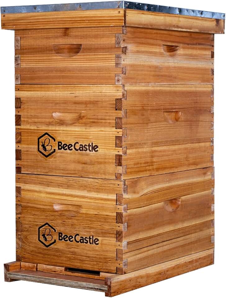 BeeCastle 8 Frame Langstroth Bee Hive Coated with Beeswax Includes Beehive Frames and Waxed Foundations (2 Deep Boxes & 1 Medium Box) The Forest Stewardship Council