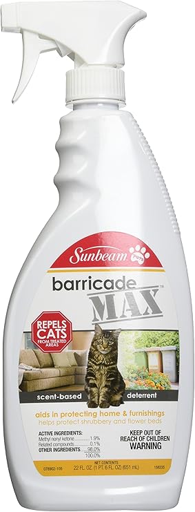 sunbeam cat sensor egg