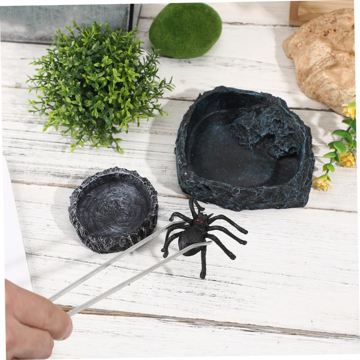 PRETYZOOM Large Reptile Food Bowl Turtle Water Dish Snake Feeding Tongs Crab Food Dish Reptile Bowl Easy to Clean