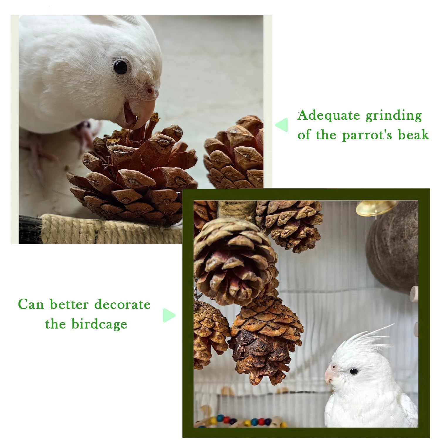 WACURRENTHYD Bird Toys with 8 Pine Cones - Natural Wooden Parrot Toys, 8 Inch Hangable Chewing Sticks Toys for Conures Parakeets Cockatoo African Grey Amazon Parrots — view 4