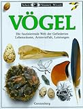  Vögel. Die faszinierende Welt der Gefiederten - Lebensräume, Artenvielfalt, Leistungen