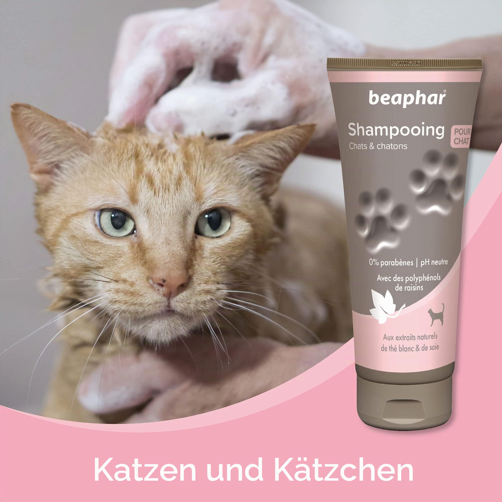 Bayphar Shampoo Hohe kosmetische Katzen und Kätzchen, eine Größe 200 ml 200 ml
