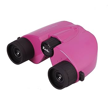Amazon.co.jp: Kenko 双眼鏡 10×20MC HG ポロプリズム式 10倍