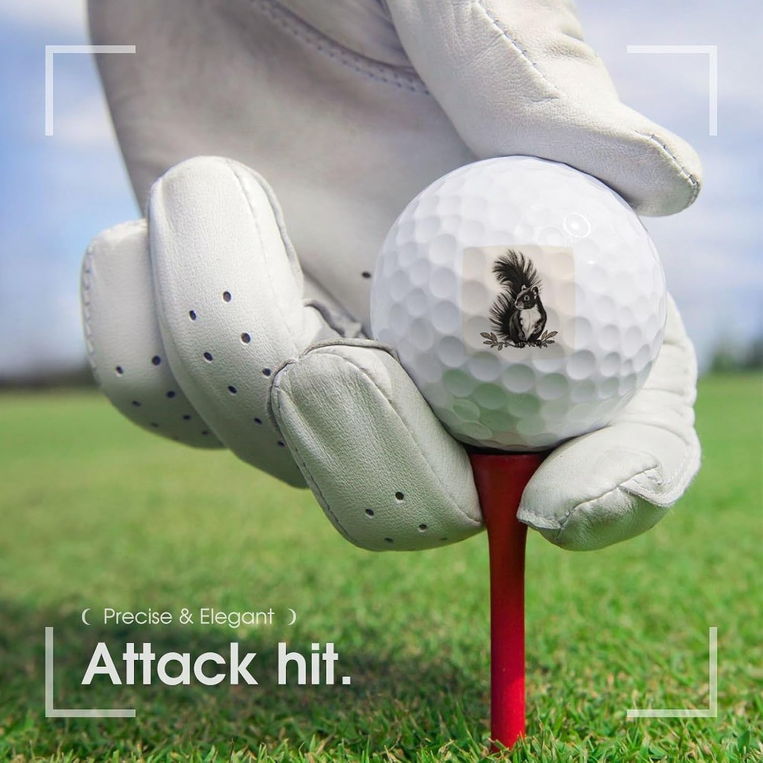 Skunk Soft Golf Balls,Practice Golf Balls Dimple Design,Golf Practice Balls Home/Indoor/Backyard Training