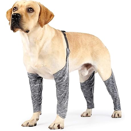 Muddy Mutts Dog Pants Prevent Unwanted Messes
