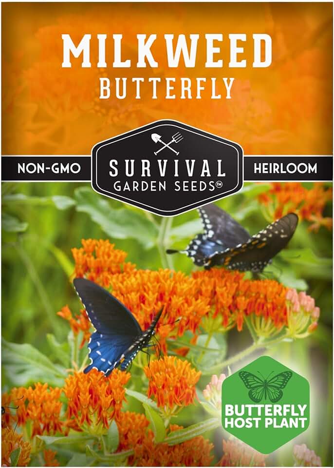Butterfly Milkweed Seeds for Planting - Heirloom Asclepias Tuberosa - Native Orange Flowers for Monarch Butterflies & Pollinator Gardens - Survival Garden Seeds (1 Pack)