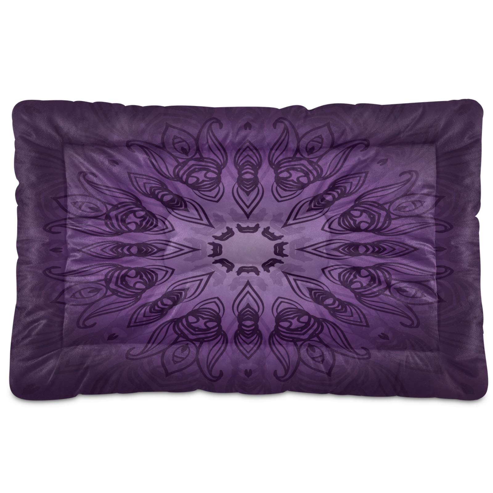 Soft Dog Crate Vibrant Life 24