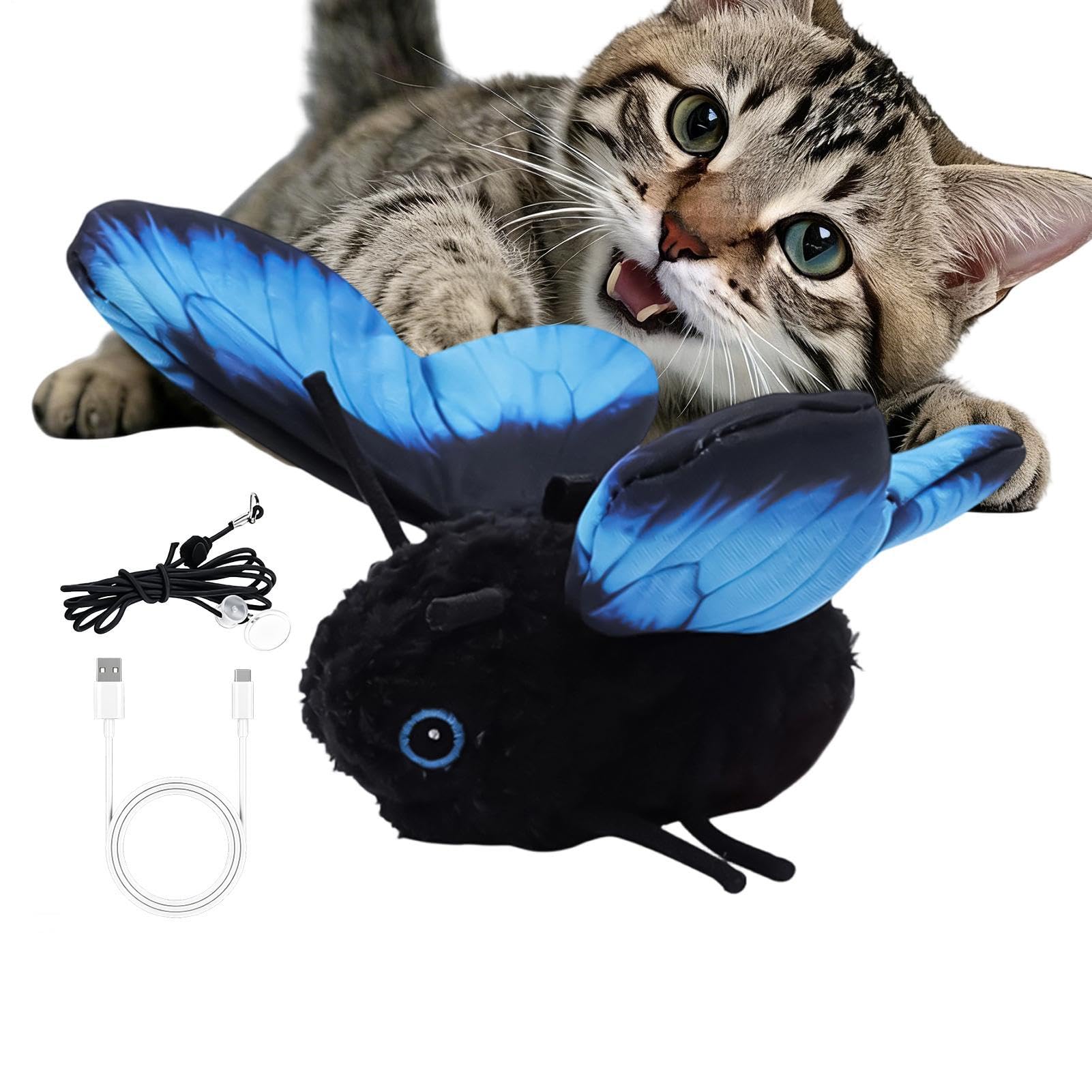 Jouet interactif pour chat pour occuper et stimuler votre animal au bureau