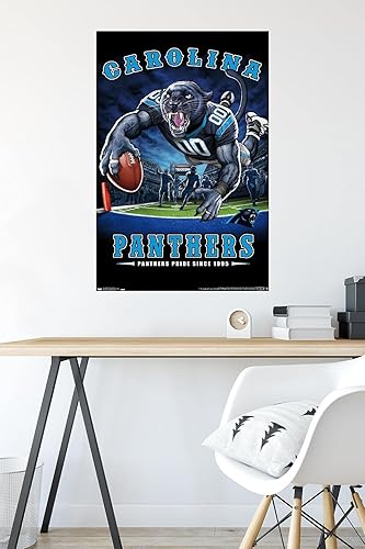 Miniatura 5 de Trends International NFL Carolina Panthers - Póster de pared de End Zone 17, 22.375 x 34 pulgadas, paquete de póster y montaje prémium