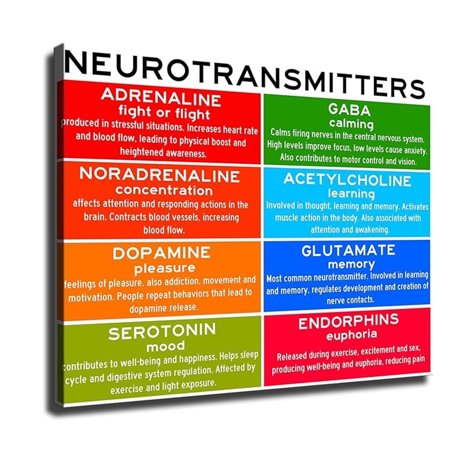 RNUMLIGH Mental Health Neurotransmitter Infographic - Brain Chemistry Chart for Office(Framed,08x12inch(20x30cm))