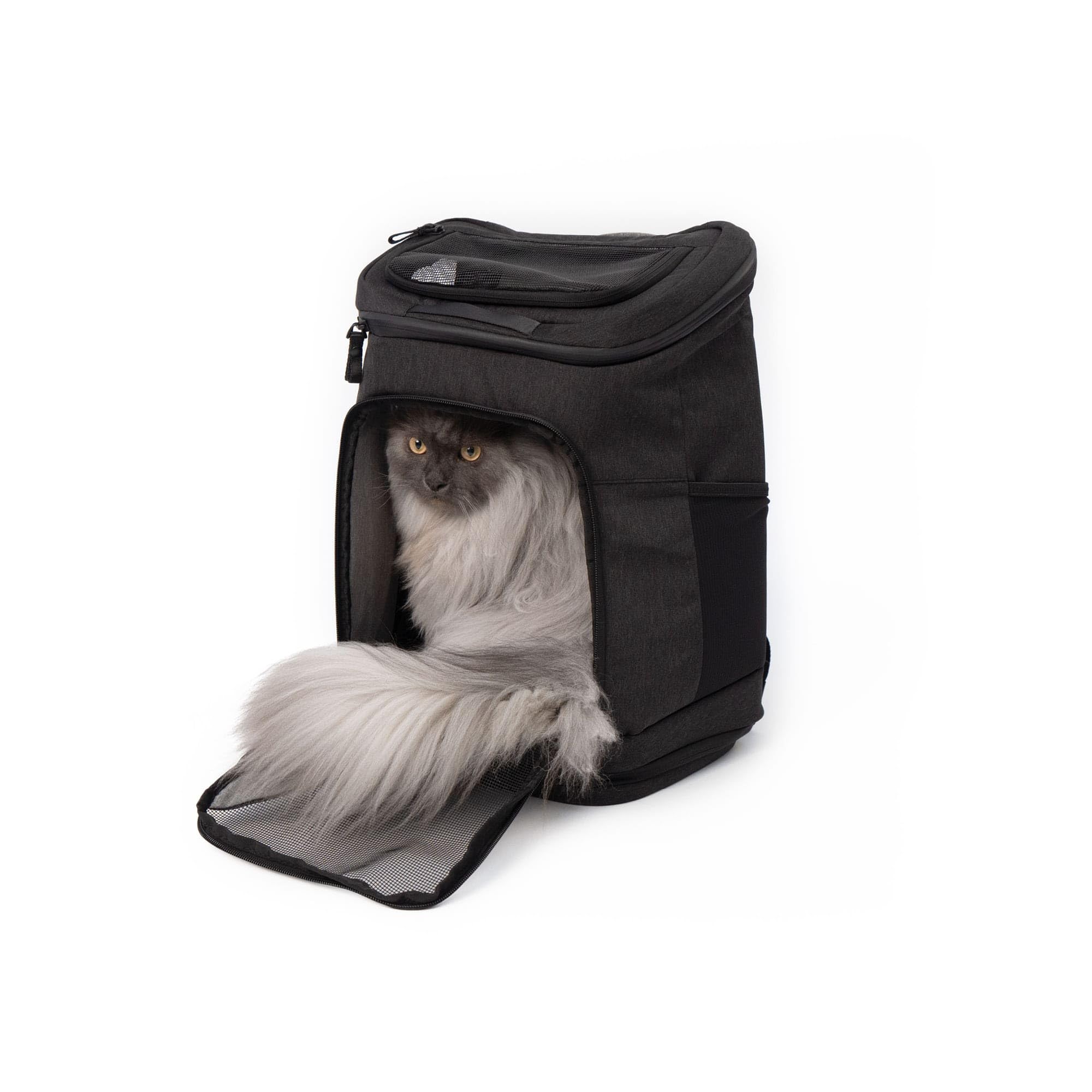 LucyBalu® Hop-on Sac à Dos de Transport pour Chat I Anthracite