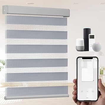 Blackout Shades for Windows, Motorized Cordless Curtain Zebra Blinds, Light Filtering Roller Shades Privacy Light Control for Day and Night