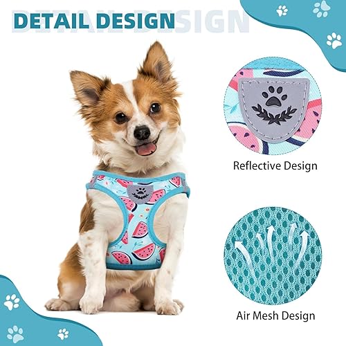 Miniatura 29 de KOOLTAIL Juego de arnés y correa para perros pequeños y medianos, arnés de malla suave sin tirones para perro, cómodo chaleco acolchado
