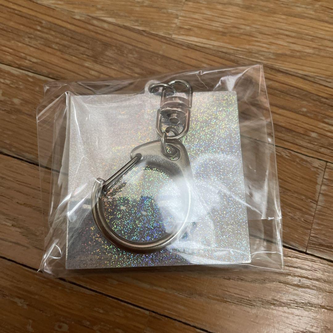 SEKAI NO OWARI セカオワ ホログラムキーホルダー全23種セット Amazon.co.jp: セカオワ ジャケット写真ホログラムキーホルダー