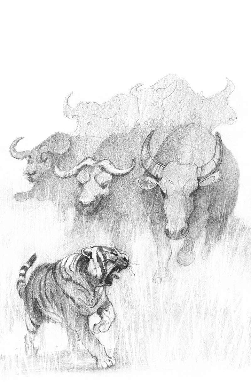El libro de la selva (Colección Alfaguara Clásicos)