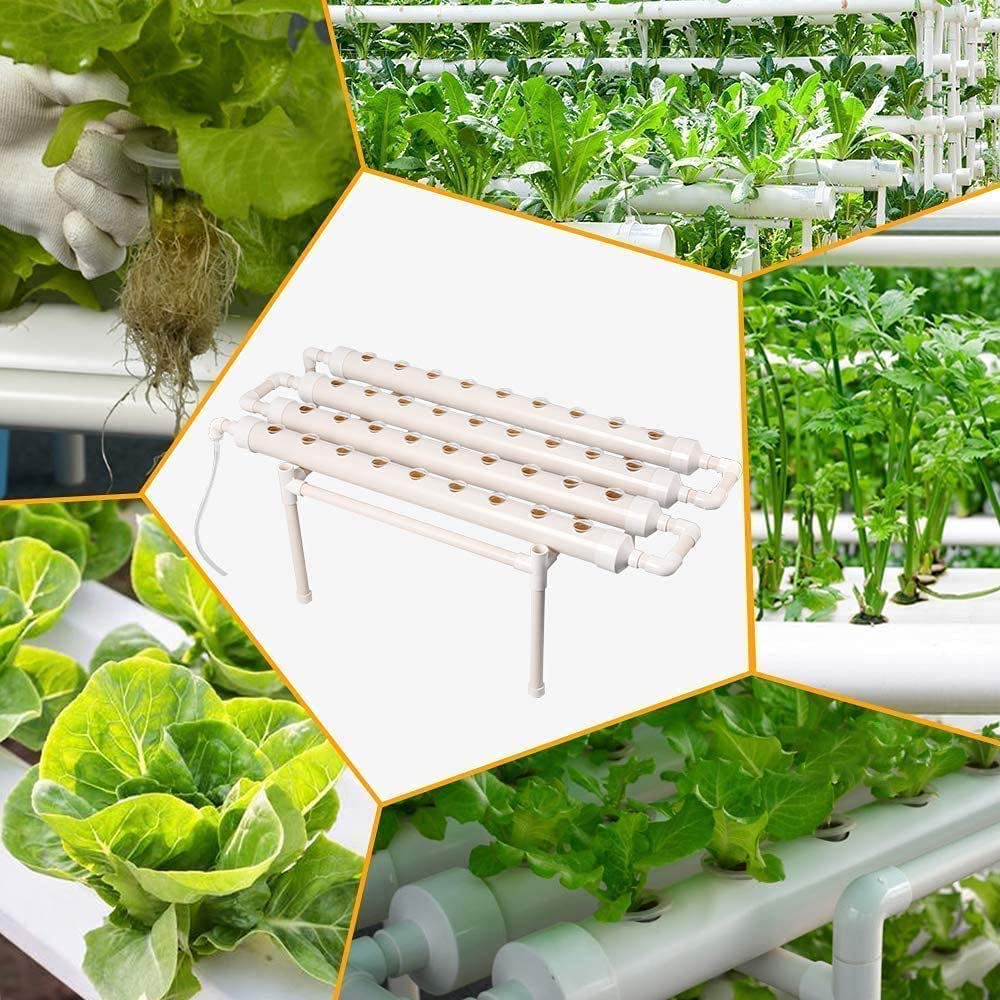 RANZIX Hydroponics Système de Culture avec 36 emplacements pour Plantes, 1 Couche, système de Culture hydroponique pour Herbes, Fruits et légumes (A-36 Trous)