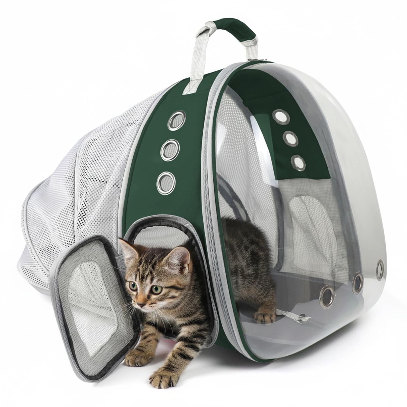 PETSWEET Cat Backpack Carrier, Back Expandable Pet Backpack with Bubble Window, Airline Approved Pet Travel Bag for Small/Medium Cats & Puppies, Hiking, Camping, Outdoor Use (Green)