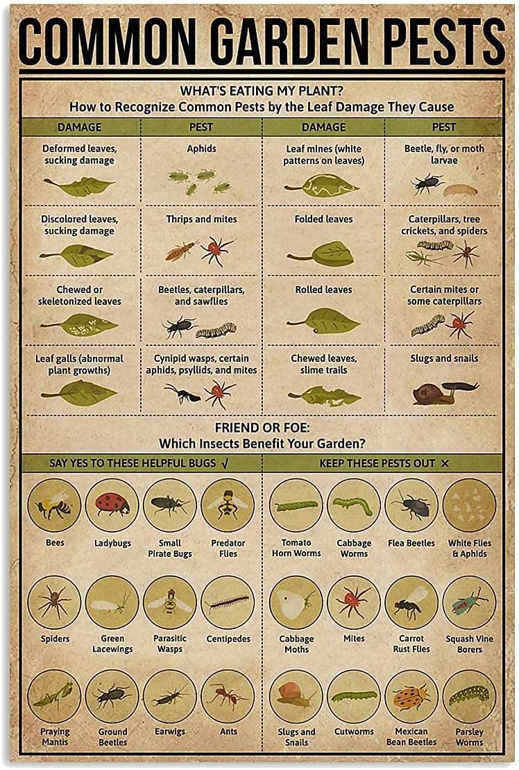 Oudrspo Gardener Knowledge Metal Signs Vintage Common Garden Pests Posters Retro Art Plaque For Garden Room Club Wall Decor 8X12inch