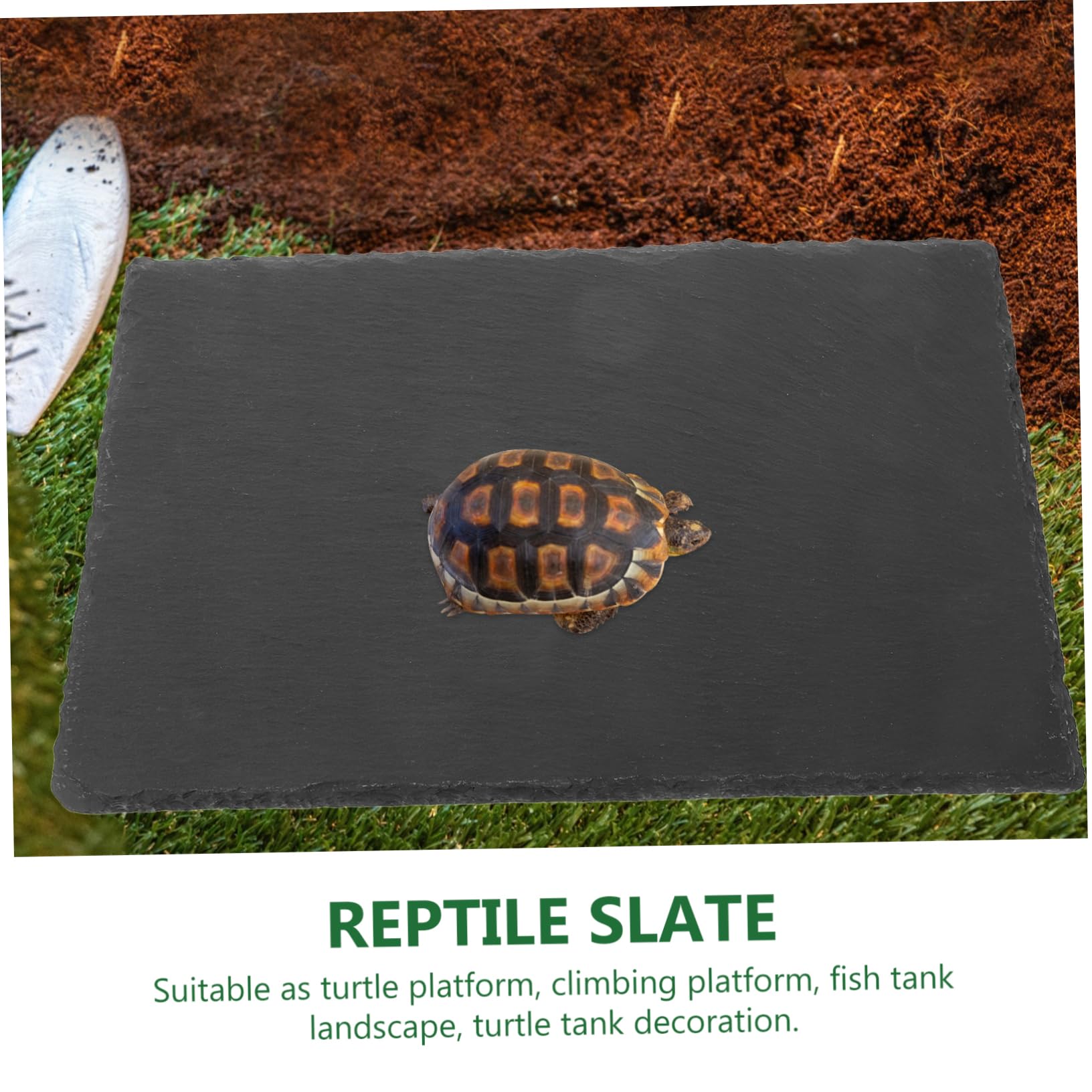 TOYANDONA Natürliche Schiefer als Dekoration Sonnenplattform mit Robustem Material für Reptilien und Schildkröten für Aquarium und Terrarium
