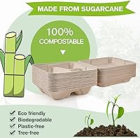 Vista 4 de ECOLipak Paquete de 50 recipientes con forma de ostra para llevar, recipientes de alimentos para llevar 100% compostables y desechables, recipientes