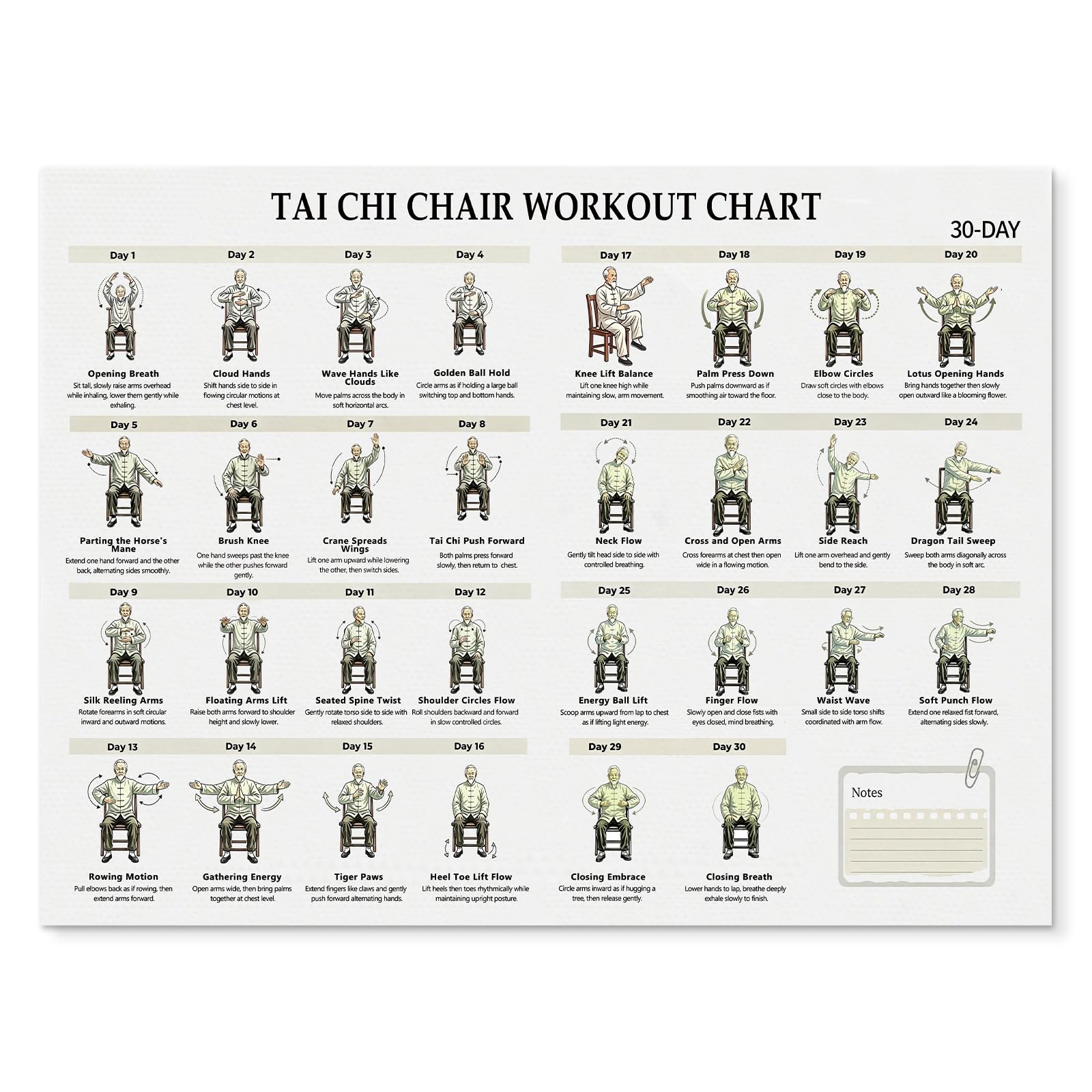 Tai Chi Chair Exercise Chart for Senior,Tai Chi Fitness Poster for Beginner