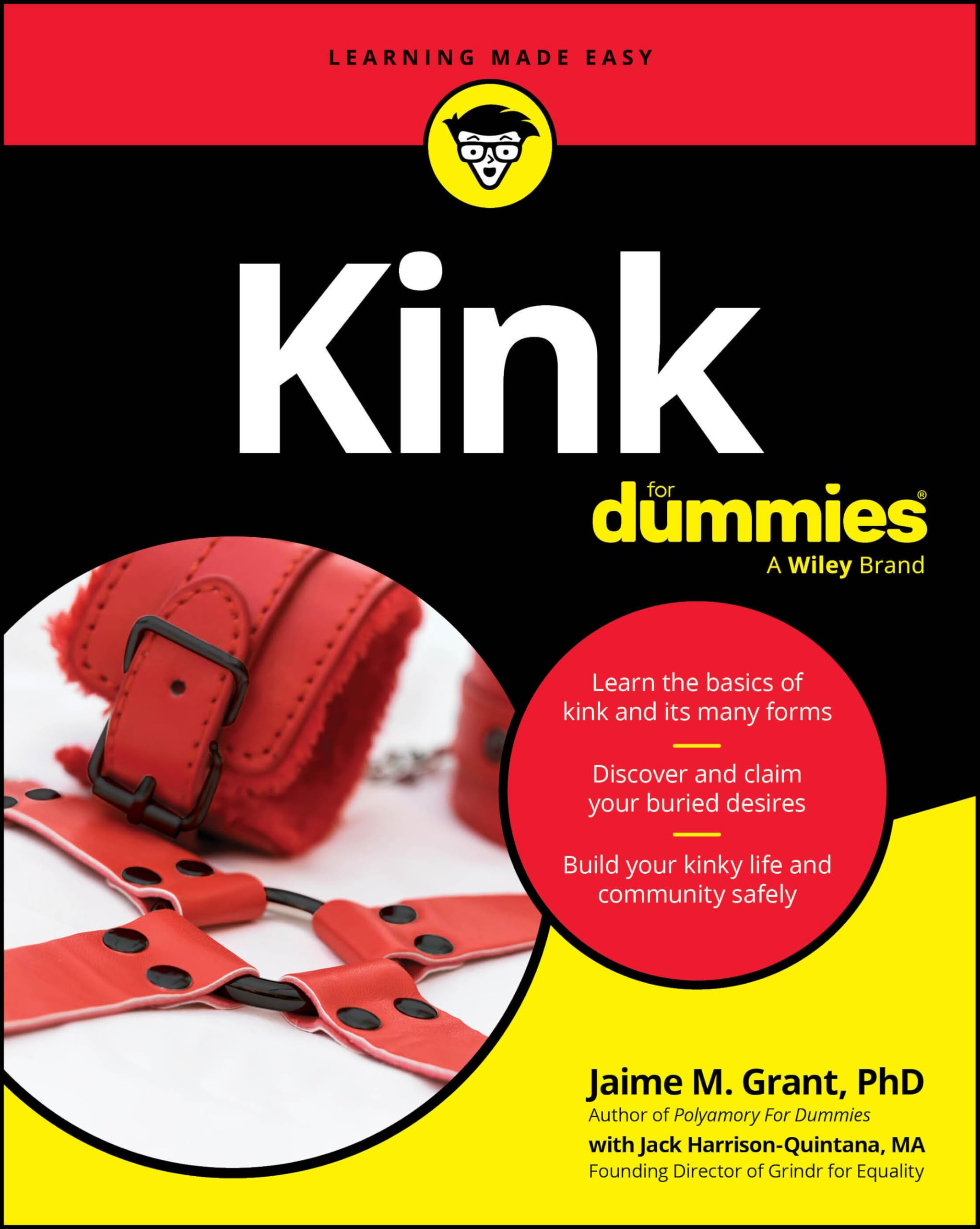 Kink For Dummies by Jaime M. Grant PAPERBACK 9781394353248