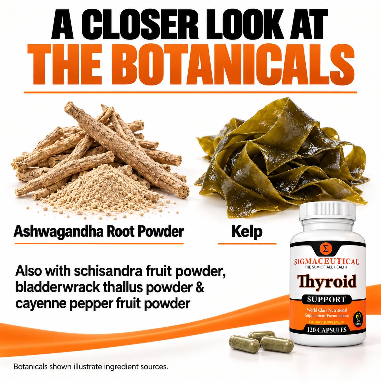 Thyroid Wellness Blend | Zinc, Selenium & Iodine Complex | Ashwagandha & Kelp Herbal Support | 120 Vegetarian Capsules | Natural Energy & Metabolism Formula — Amazon image 6