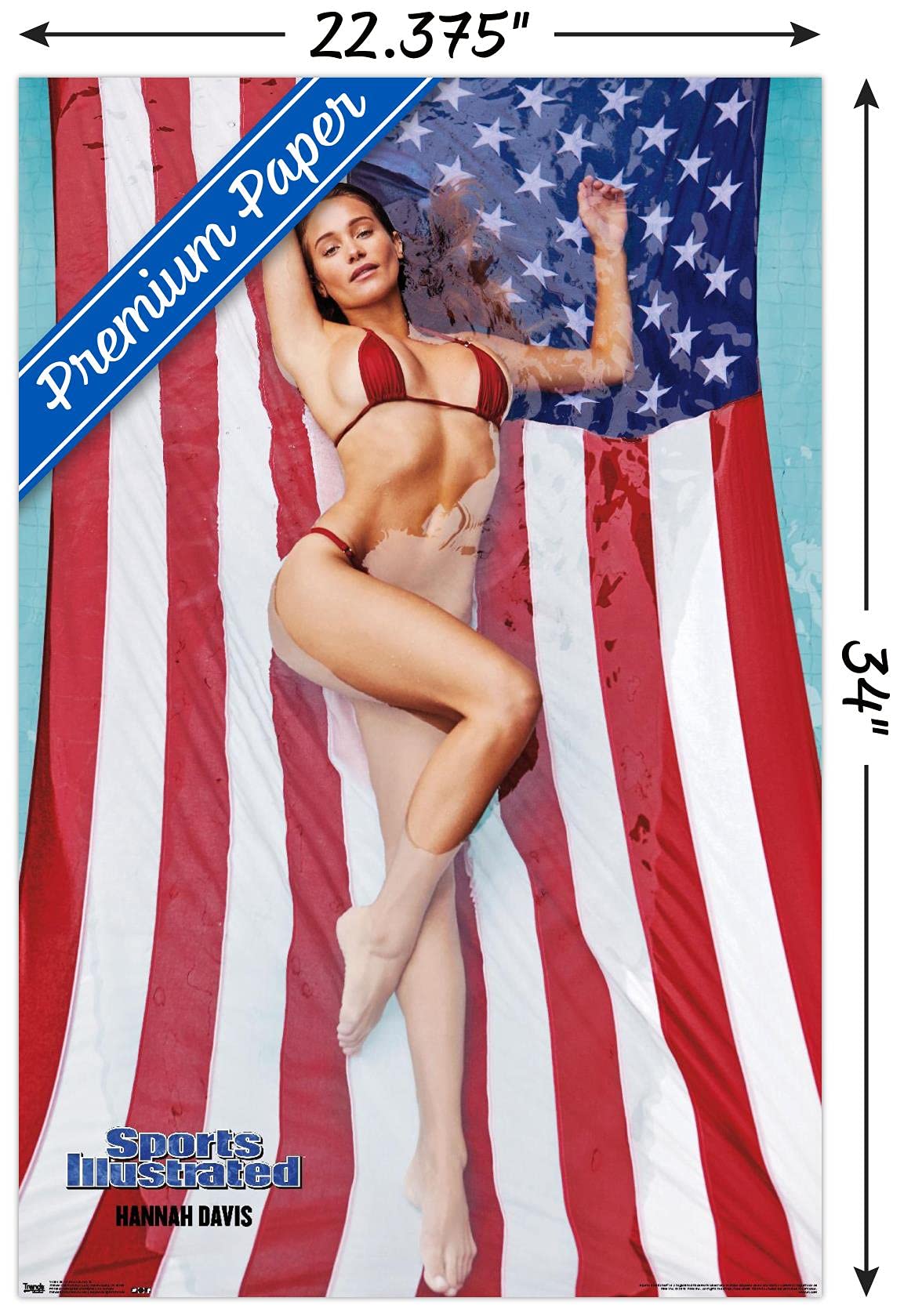 Amazon.com: Trends International Sports Illustrated Hannah Davis Wall  Poster 22.375 x 34: Posters & Prints