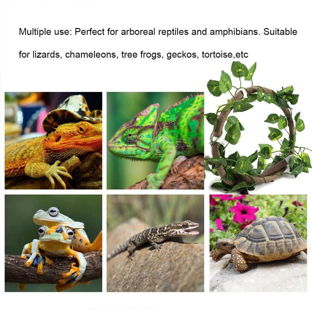 HEEPDD Reptiles Habitat Decor, 6.89ft Long Vine Habitat Decor Artificial Leaves Hanging Flexible Vines For Lizard Frogs Snakes And More Reptiles(Green Leaf