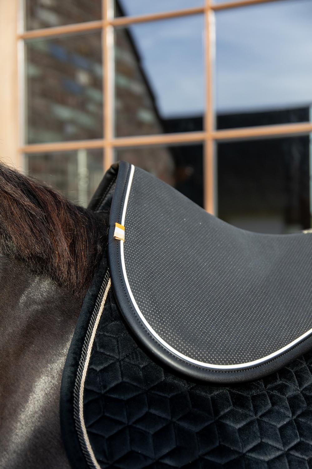 Kentucky Horsewear modèle Absorb Anatomic tapis de selle absorbant, taille unique