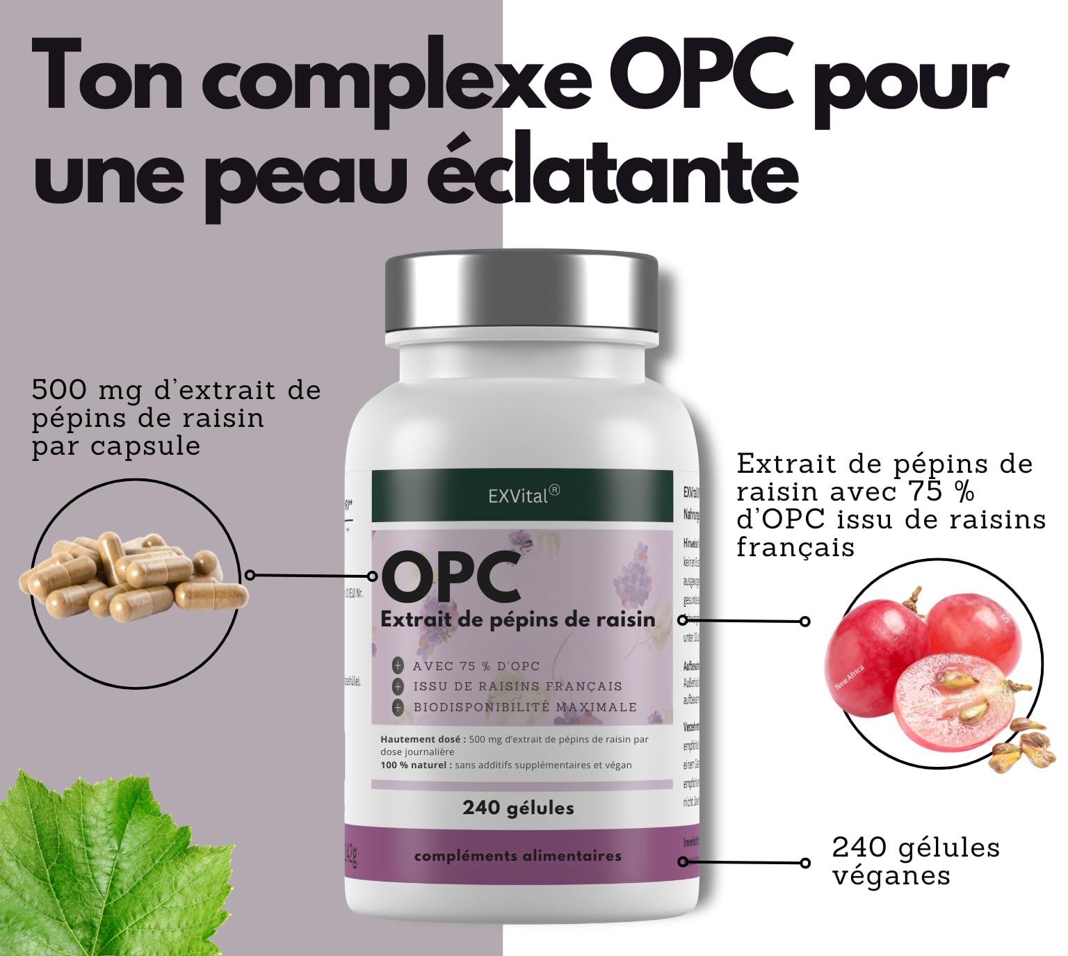 EXVital® OPC Extrait de pépins de raisin, 240 gélules, hautement dosé avec 500 mg par gélule, issu de raisins français, testé en laboratoire et vegan